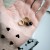 1000046726.jpg